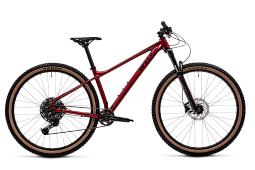 Велосипед Welt Rambler 2.0 29 (2025)